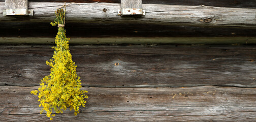 yellow flowers. Bunches of dry herbal plants hanging on an old wooden wall