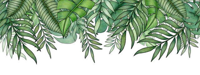 jungle foliage pattern with green tropical leaves on white, hand drawn seamless border in tropical illustration banner design