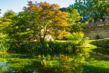 Fototapeta na wymiar The foliage of the trees reflected on the water of the small river called Ninfa 