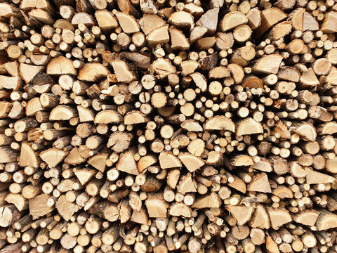 Background of firewood on a sunny day.