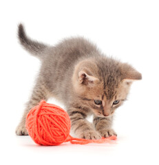 Little kitten playing with a ball of yarn.