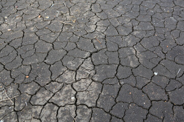 Crack earth and dry black soil. Drought on the ground