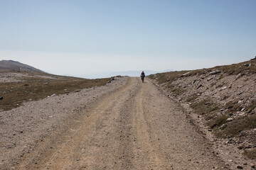 Riding gravel roads in the Sierra Nevada. 