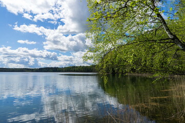 Ecological trail Blue Lakes in the area of Narochansky National Park, Belarus