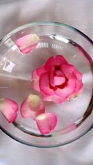 A photo of the head of a pink flower and petals in a bowl of water