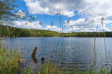 Ecological trail Blue Lakes in the area of Narochansky National Park, Belarus