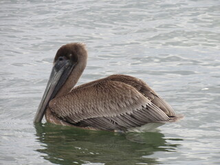 PUERTO MORELOS, MEXICO