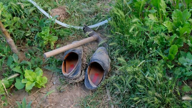 old muddy shoes and garden hoe in the hobby garden,