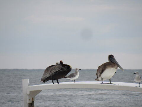 PUERTO MORELOS, MEXICO