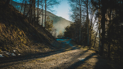 Ballade en Forêt