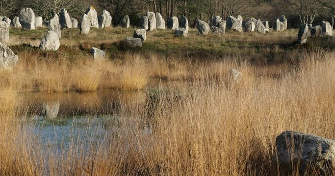 The stone alignments,Carnac, Morbihan, Brittany, France