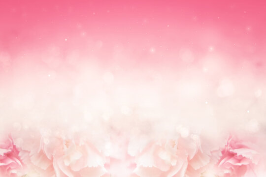 The pink background has beautiful flowers and bokeh.