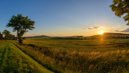 Fototapeta na wymiar panoramic sunset over the field