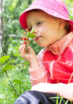 Caucasian girl picking wild strawberries. The baby is smiling. Summer day