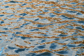 Abstract background from ripples in water surface
