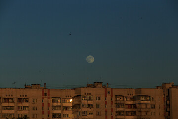 large white full moon on clear blue over an urban high building
