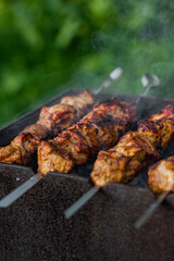 shish kebab on the grill