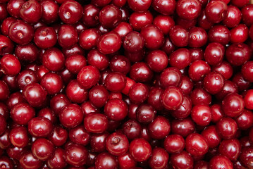 Cherries background. Cherry with drops. Food background.Top view