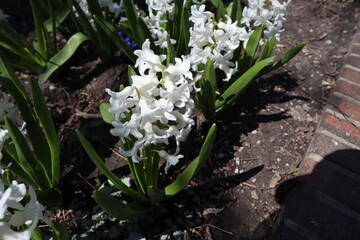 Toronto, Ontario, Canada