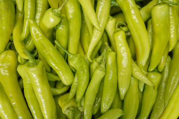 Bunch of organic green fresh sweet pepper on a market, background