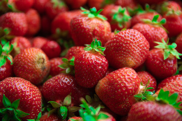 background of freshly picked juicy strawberries, top view. summer time