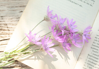 open book with a bouquet of beautiful pink flowers on a wooden table in the garden. 
English text on the pages of the book is changed, letters are partially erased.