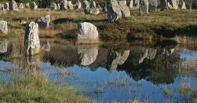 The stone alignments,Carnac, Morbihan, Brittany, France