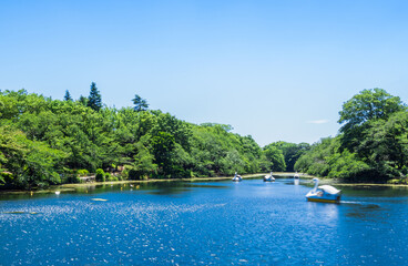 吉祥寺　井の頭公園