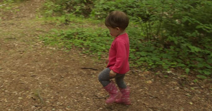 Back view of little girl walking on pines forest path