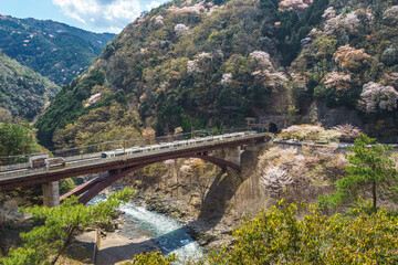 京都　JR保津峡駅　橋梁上の高架駅