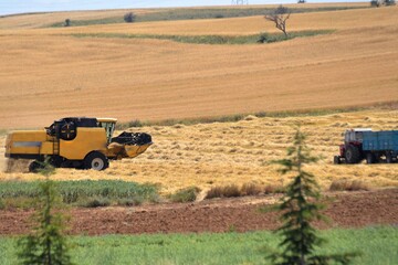 combine harvester working in a field