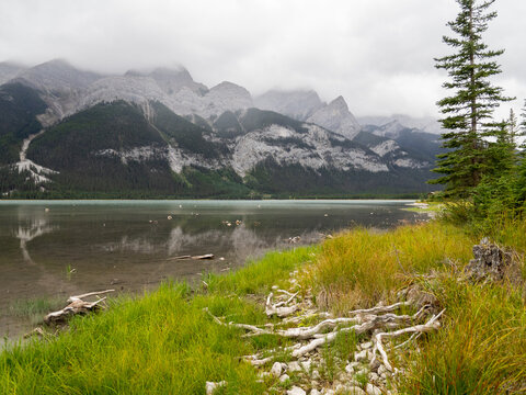 calm lake and tall grass in the mountains