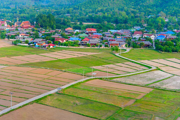 Obraz premium rice field, a natural beauty on mountain in Nan,Khun Nan Rice Terraces, Boklua Nan Province Thailand