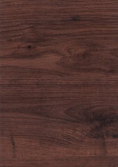 Natural wood grain design of oak wood with cherry stain finish. Macro showing texture and details.