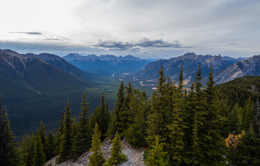 panoramic view of a valley with a forest in summer on a cloudy day