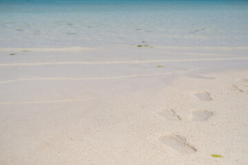 footprints on the beach