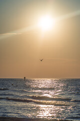 Przelotny przelot przy przelotnym zachodzie