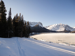 snowy lake on the right side and forest on the left in winter