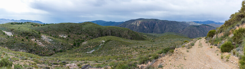 Mountainous landscape with bushes