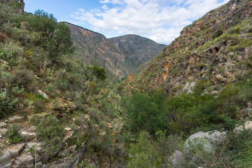Obraz premium mountainous landscape with a canyon in the center