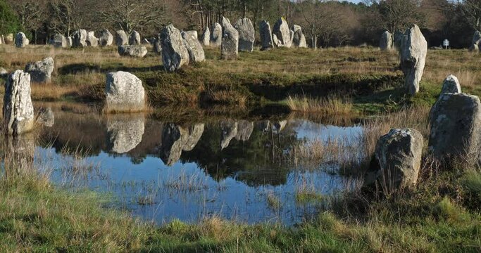 The stone alignments,Carnac, Morbihan, Brittany, France