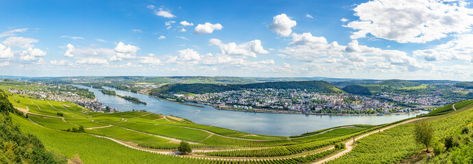 scenic view to Rhine valley with vineyards in Rudesheim