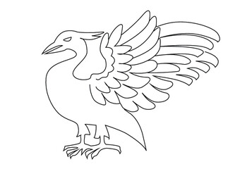 vector illustration of a liver bird