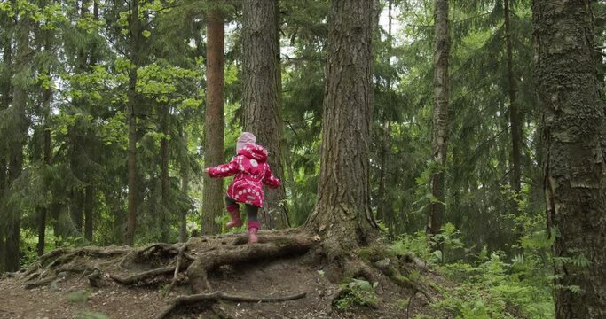Back view of little girl walking on pines forest path