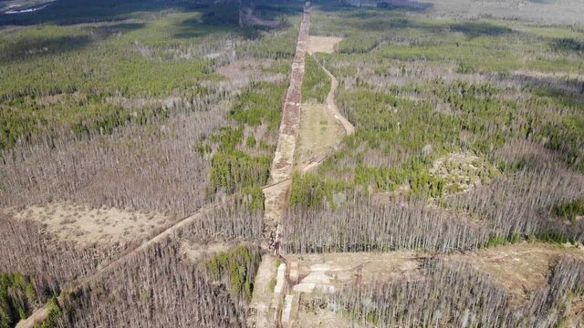 Aerial view deforestation tree cutting spring or autumn grey forest. Ecology.