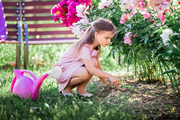 girl in a linen dress caring for peonies in the summer in the garden