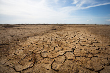 hot dry cracked earth landscape