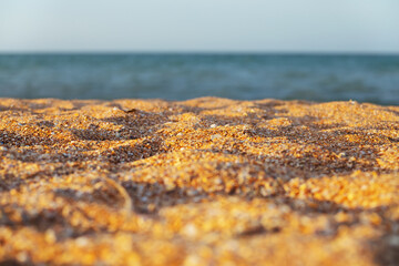 closeup sandy sea coast, marine summer vacation background
