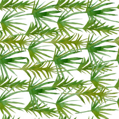 Naklejka na ściany i meble floral seamless hand drawn watercolor graphic pattern with elegant green tropical palm leaves plant for nature lovers fashion textile exotic illustration lush foliage trendy design wallpaper fabrics.