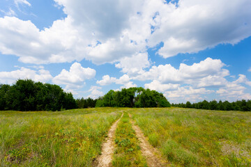Fototapeta na wymiar ground road among a green prairie, hot summer concept background